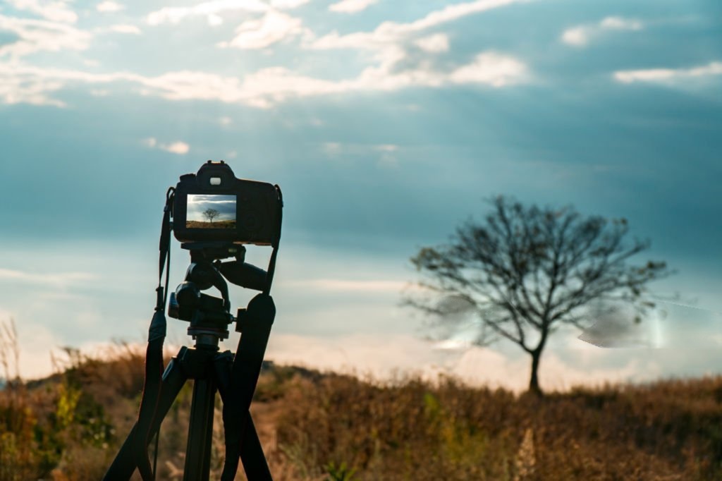 Creative Travel Landscape
