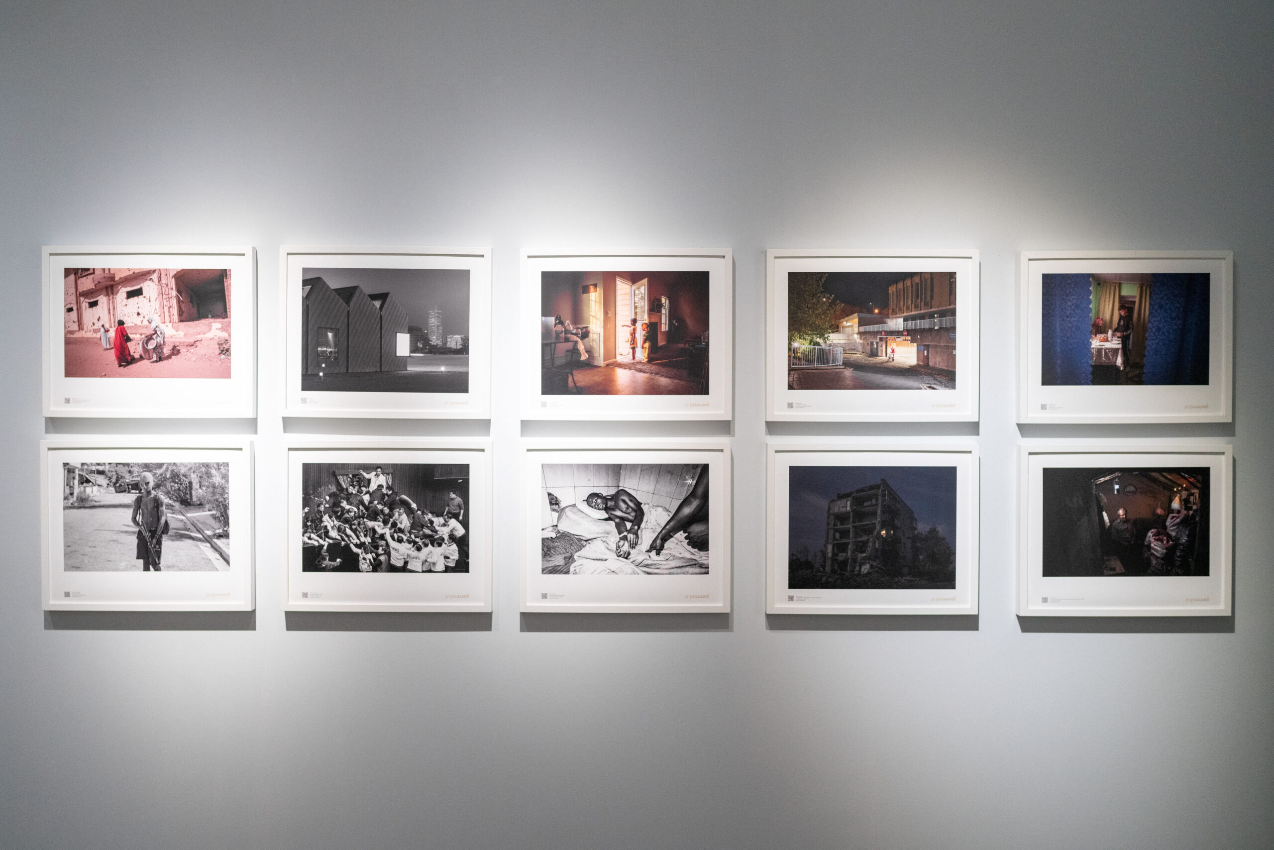 Professional Portfolio Series
